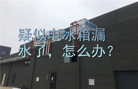 疑似電冰箱漏水了，怎么辦？